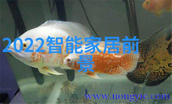 化学元素-黄磷的危险与应用安全处理与工业用途