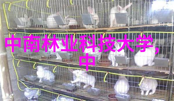 煤泥干燥设备俺们的这篇文章就叫揭秘煤泥干燥大法让它不再湿乎乎