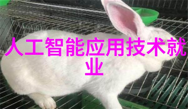 未来趋势探究智能化技术在提升城市地下排污网络效率上的作用