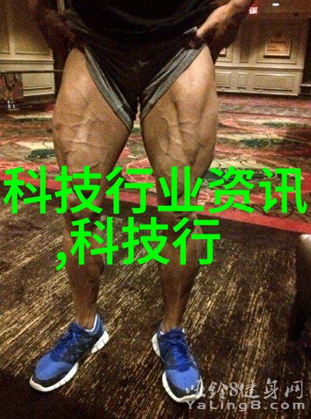 粉体输送设备-高效率的粉尘物料传输系统