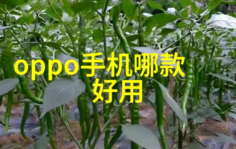 古铸新境铁韵悠扬
