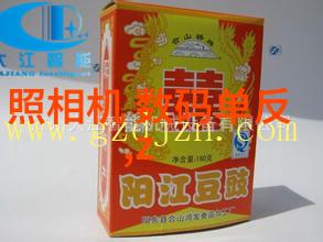 学生总结报告 个人我的学年总结从迷茫到自信的旅程