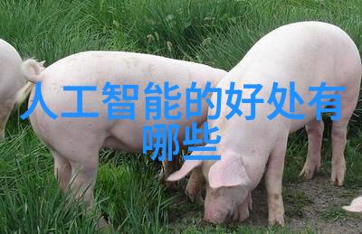 丝网波纹填料装填技巧解析从基础到精细的装饰艺术