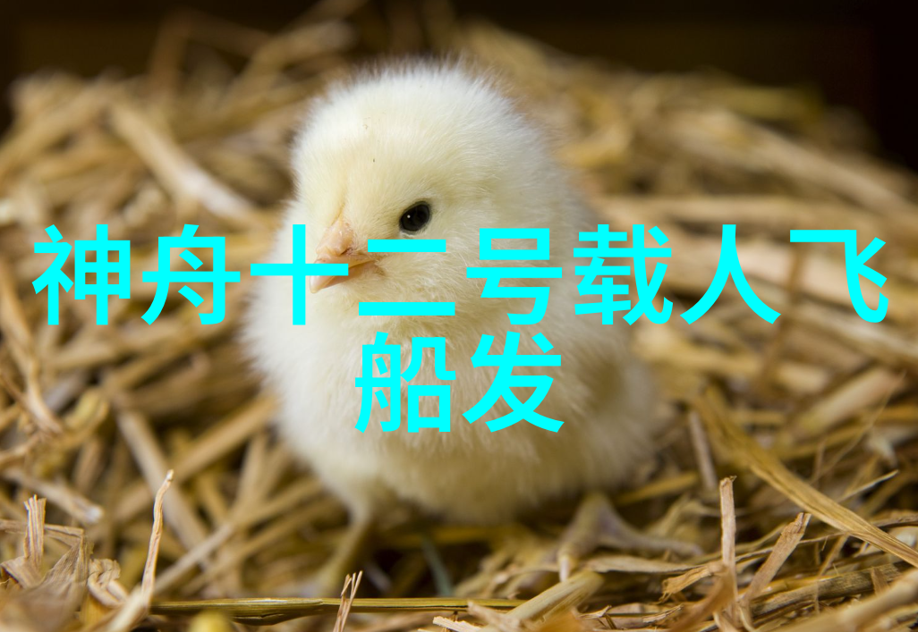 实验员在使用电子天平时需要注意哪些细节以保证精度