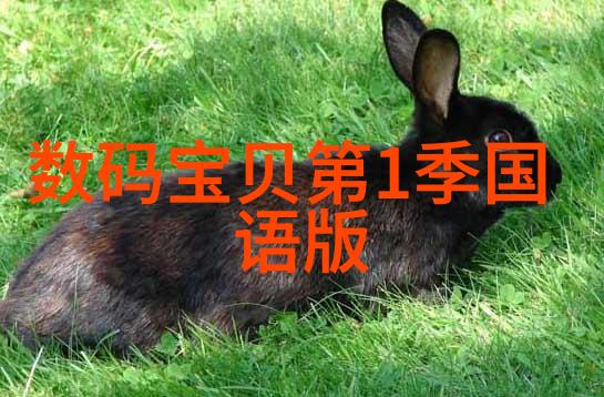 包装检测设备科技守护食品安全