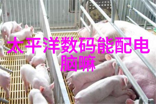 热力转换新一代换热器的诞生与应用