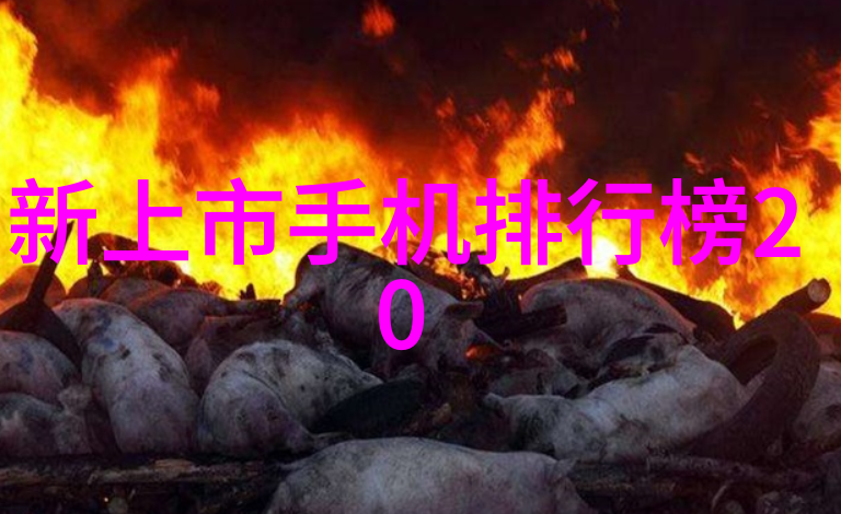 燃烧效率的飞跃煤泥干燥设备的智慧革命