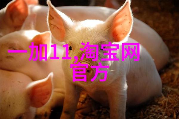 解决方案中心适合不同需求的定制化 PE 管类产品批发