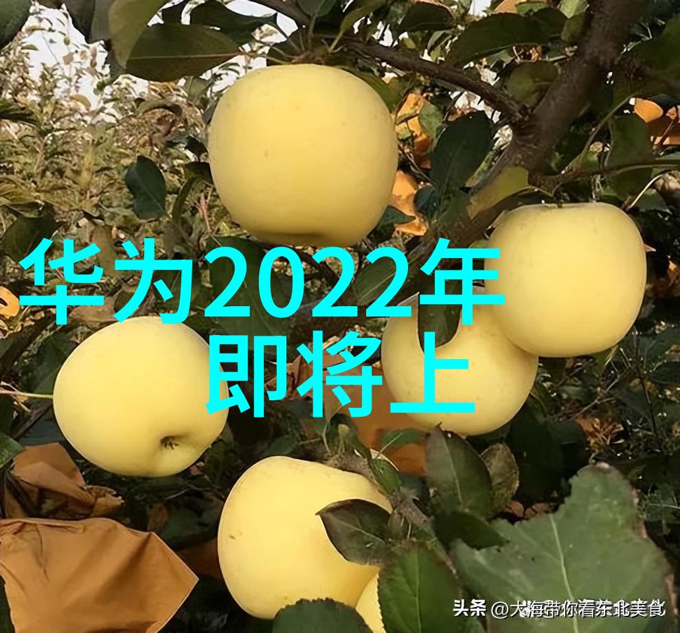 流动的黏连液态世界的魔法手册