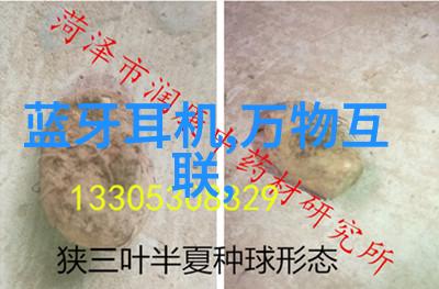 儿子妈今天是你的人了视频我儿子的奇妙变身从小鬼到超级英雄