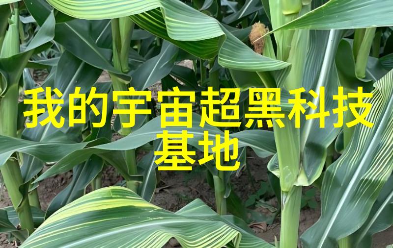 乙级反应釜虽然不如甲级但它在实际应用中的优势是什么