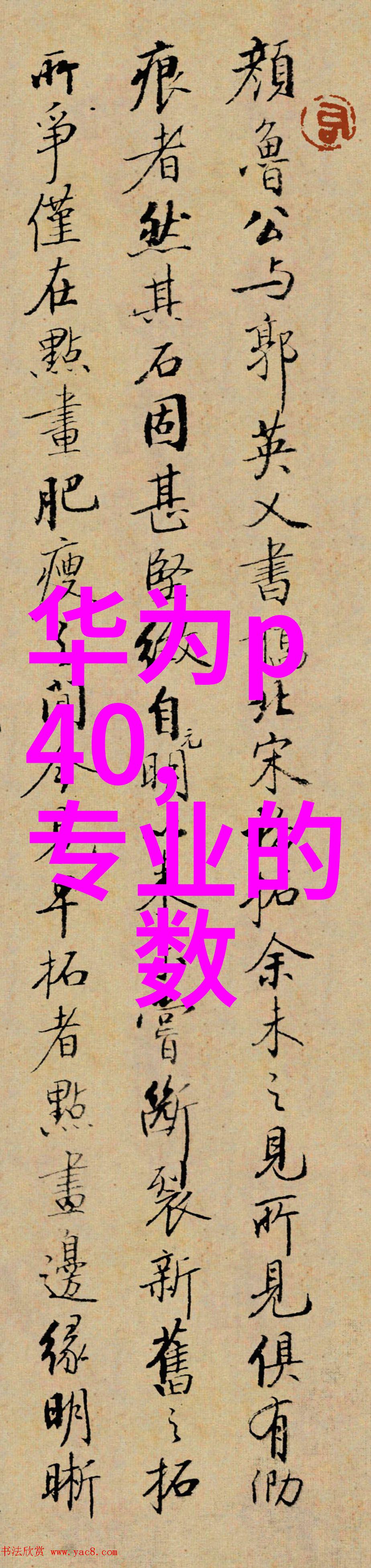 机甲巨擘中国十强股市舞弊