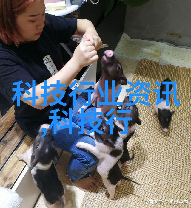 智能停车管理系统革新城市交通效率