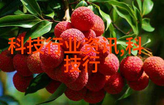 买房梦想之屋解锁首次购房的秘密