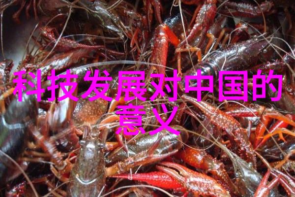 密室之谜PVC管材型号与口径的秘密