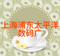 青鸟展翅北大青鸟职业技术学院的卓越征程