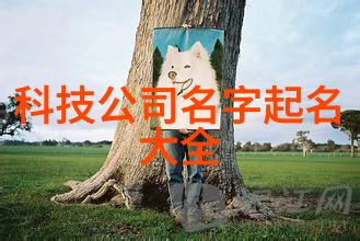 深度解析新一代学子入门指南