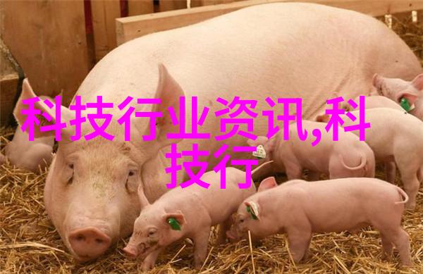 PE管100级国标壁厚标准防腐蒸汽钢套钢管道保温新贵