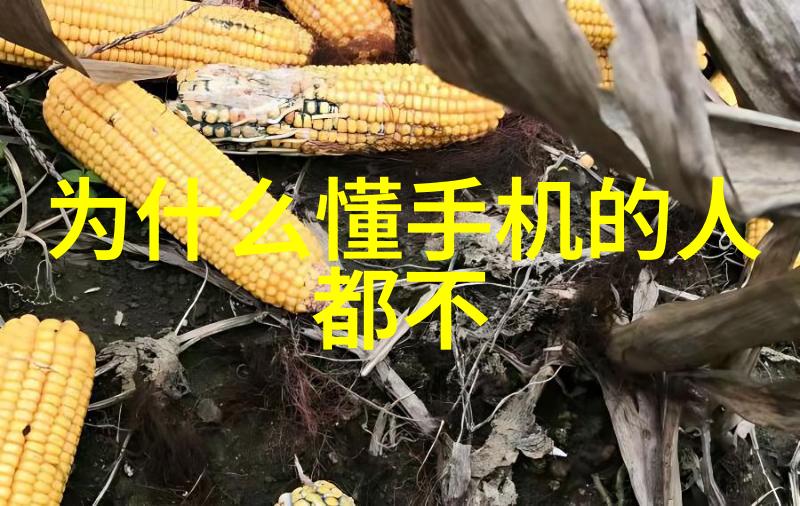 水质探秘清澈之境的守护者