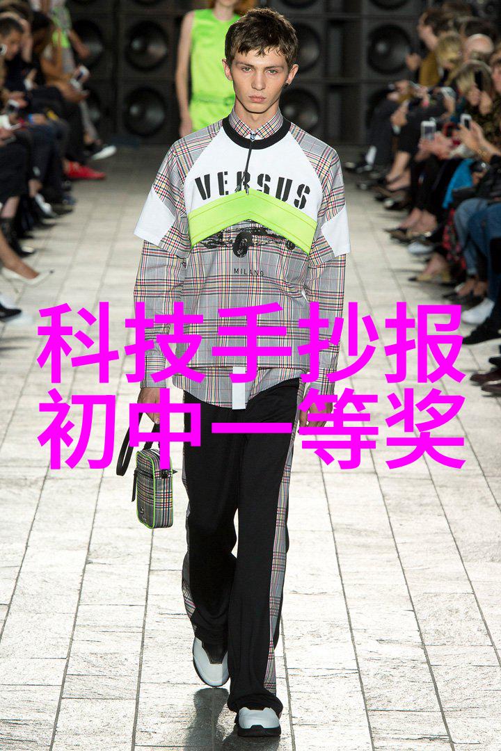 从芯片到经济安全国家战略视角下的国产光刻设备发展路径规划