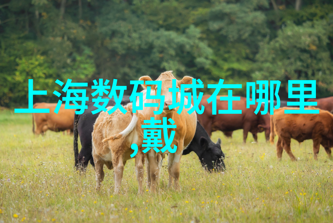 反应釜清洗技巧探究揭秘多种有效清洁方法