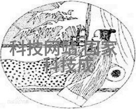 化工产业的精髓探索主要化工产品的奇迹与应用