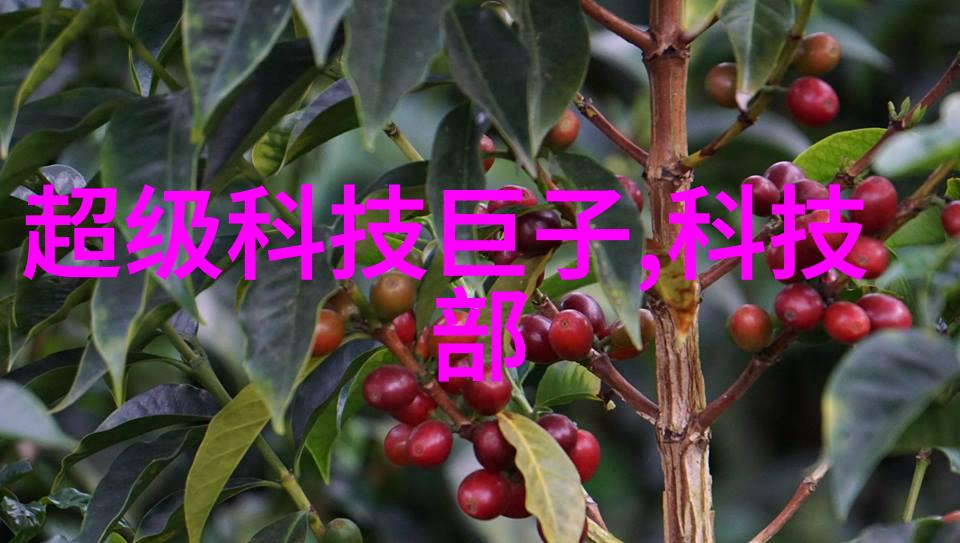 在实验室环境下如何避免回流装置的误用和过载