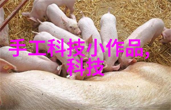 沉降观测在工程建设中的应用研究