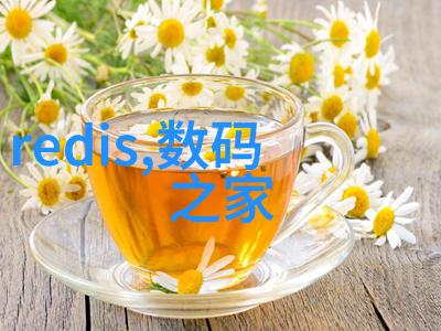 屠宰设备现代化高效畜禽处理系统
