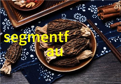 带式干燥机节能高效的物料干燥技术革新