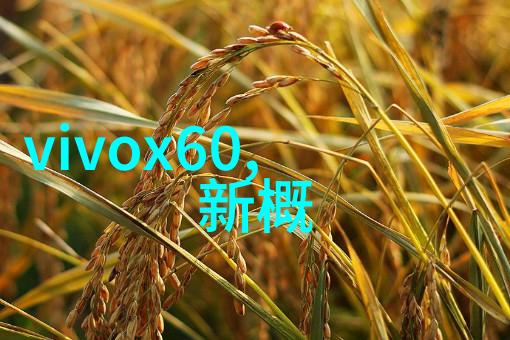 机器之谜压缩机的哀鸣与复苏