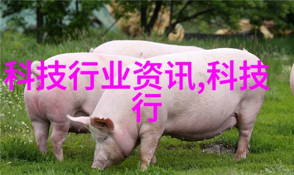 生活废水污染物去除技术及其创新方法