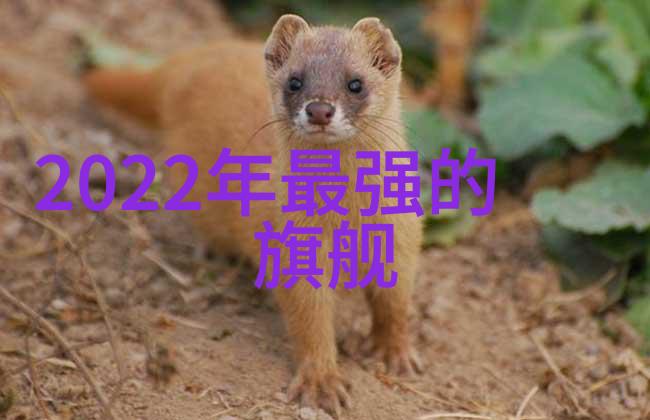 智能化处理技术在高层建筑沉降监控中的应用前景
