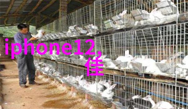 在选择化工颗粒剂机械时我们应该考虑哪些关键因素
