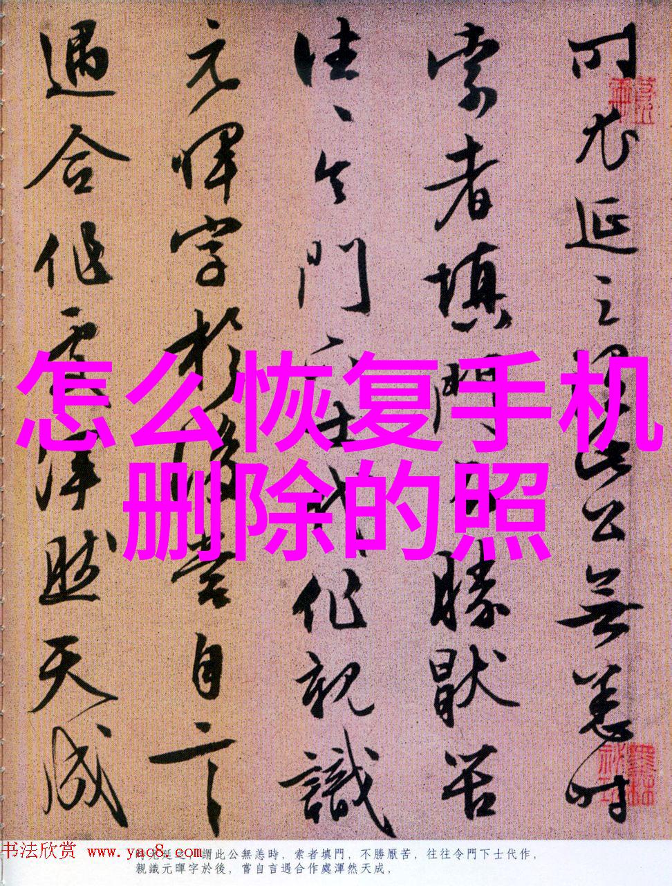 创新驱动厦门实验室设备如何促进科技发展