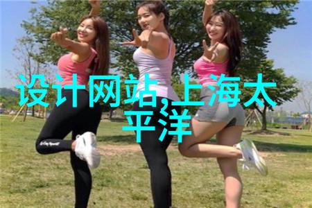 机甲装备银翼守护者