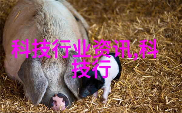 揭秘邪灵世界古老咒语与黑暗仪式