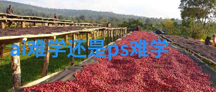 反应器装置图解析与设计原理
