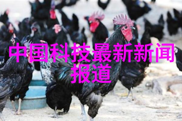 绿色校园建设山西财经大学环保理念深入人心