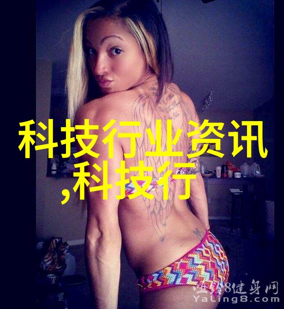 探索填料网的奥秘了解其构成与应用