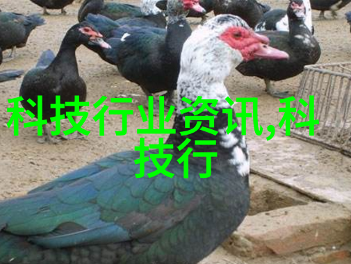 压滤机设备高效液体处理系统