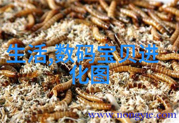 人妻寂寞按摩中文字幕探索揭秘情感与肉体的交织