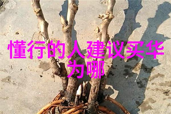 班长的哀嚎深夜守望与无尽的忧虑