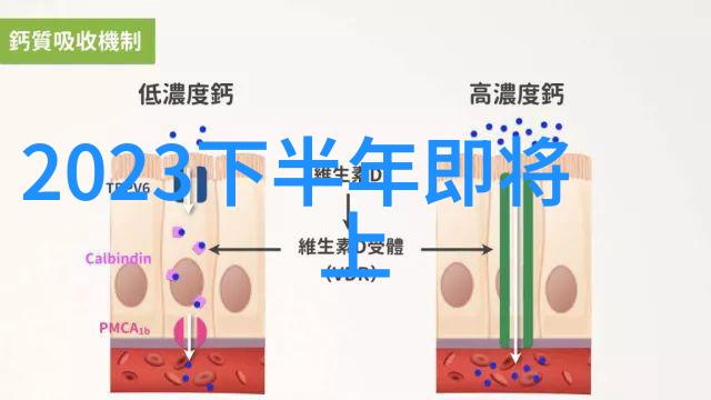 家庭除湿英雄如何用一台机器让你的家变得像冰箱一样凉爽又不失温馨