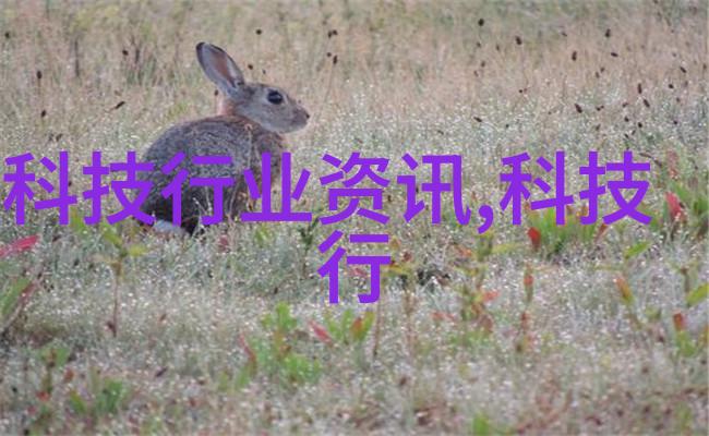 从假到真304的辨识之谜揭秘那些不为人知的测试小技巧