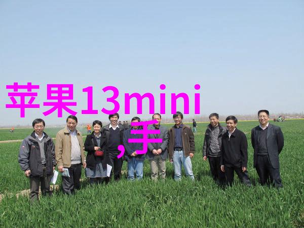 法相仙途穿梭九界的魔力与谜团