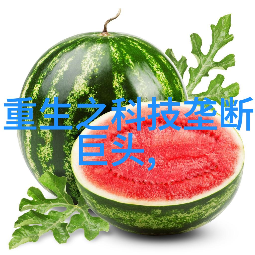 温柔的蒸汽小型电热蒸汽发生器的魅力与应用