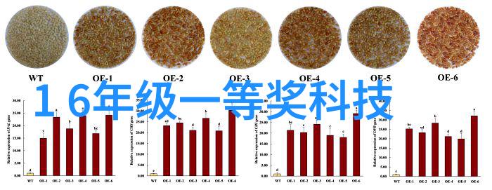密封件设备高效密封技术的应用