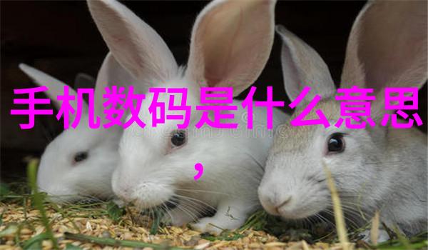 三相分离器的工作原理电力系统中的电磁兼容性保护装置