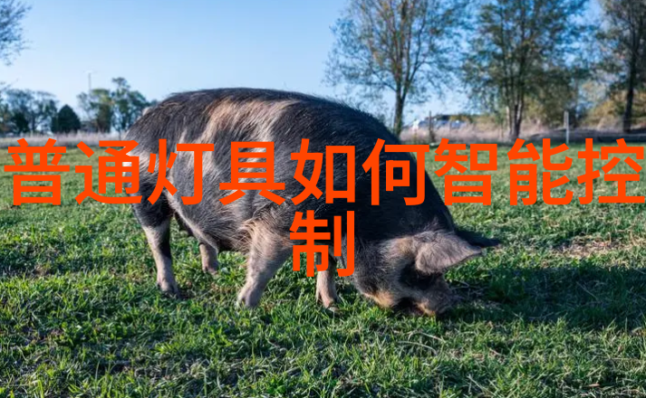 化工注射用水设备-精密控制系统的完善与安全运行策略
